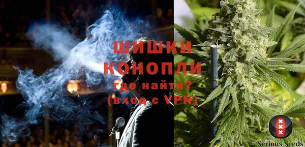 сатива Балабаново