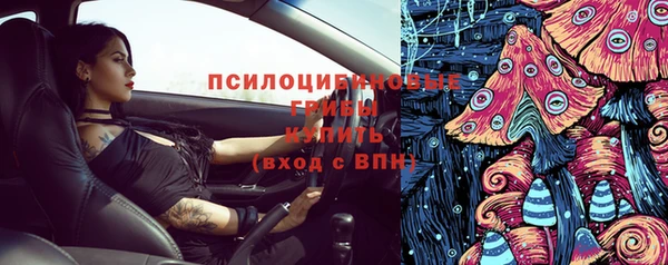 ПСИЛОЦИБИНОВЫЕ ГРИБЫ Балахна