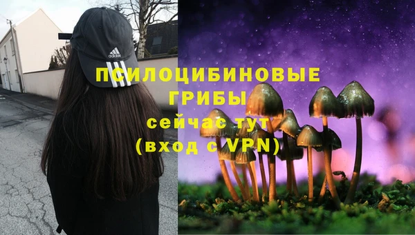 ПСИЛОЦИБИНОВЫЕ ГРИБЫ Балахна