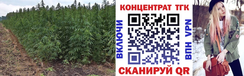 Дистиллят ТГК THC oil Белорецк