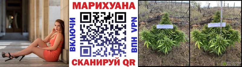 Шишки марихуана план Белорецк